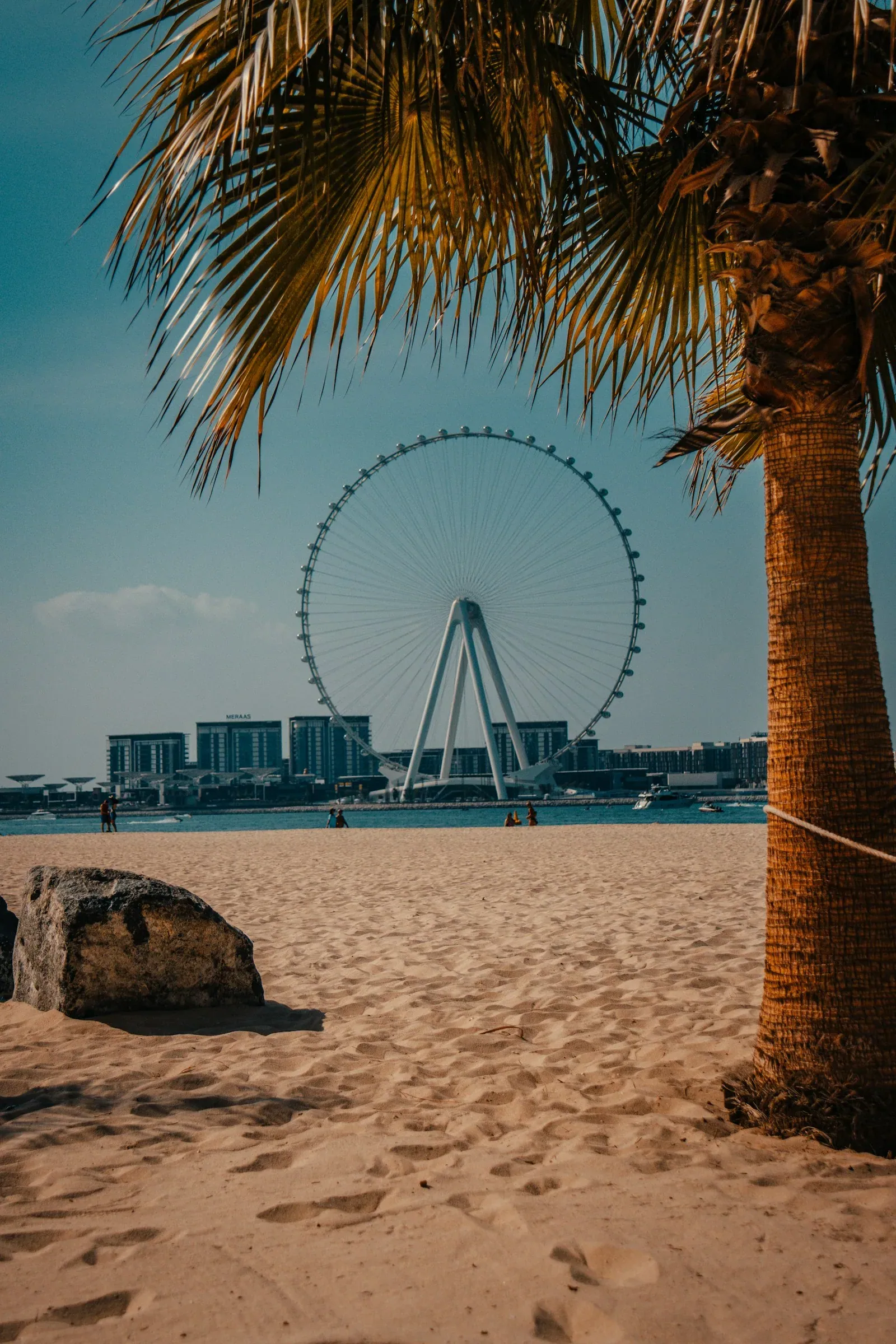 Palm tree beside the sand at JBR, with Ain Dubai across the water